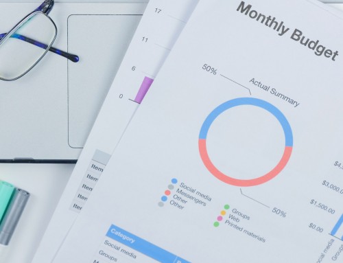 LivaBudget (Budgetting & Reporting)